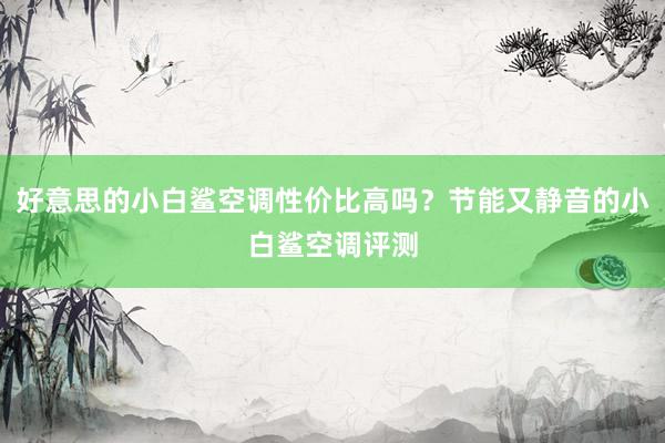 好意思的小白鲨空调性价比高吗？节能又静音的小白鲨空调评测