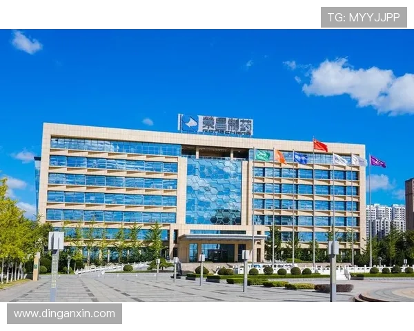 K8凯发地址平台最新版本下载及安装步骤详细指南 K8凯发地址平台最新版本下载及安装步骤详细指南